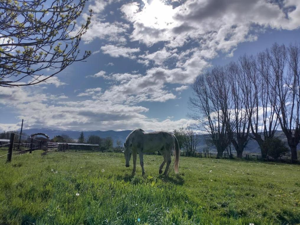Ca L'Andreu Villa Ventola Buitenkant foto