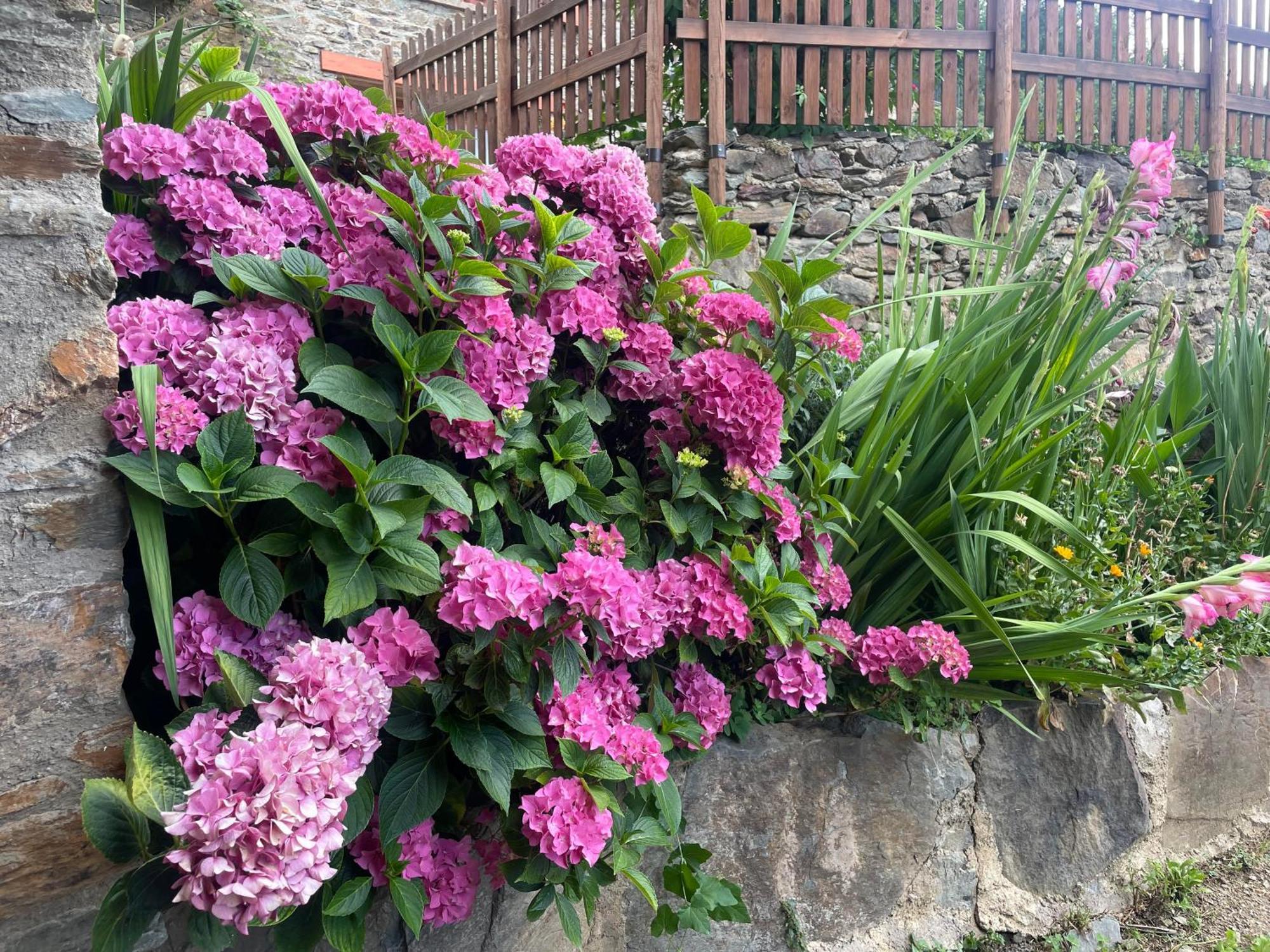 Ca L'Andreu Villa Ventola Buitenkant foto