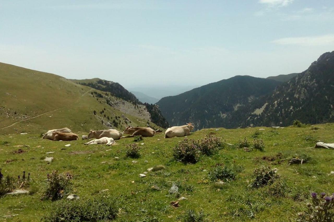 Ca L'Andreu Villa Ventola Buitenkant foto