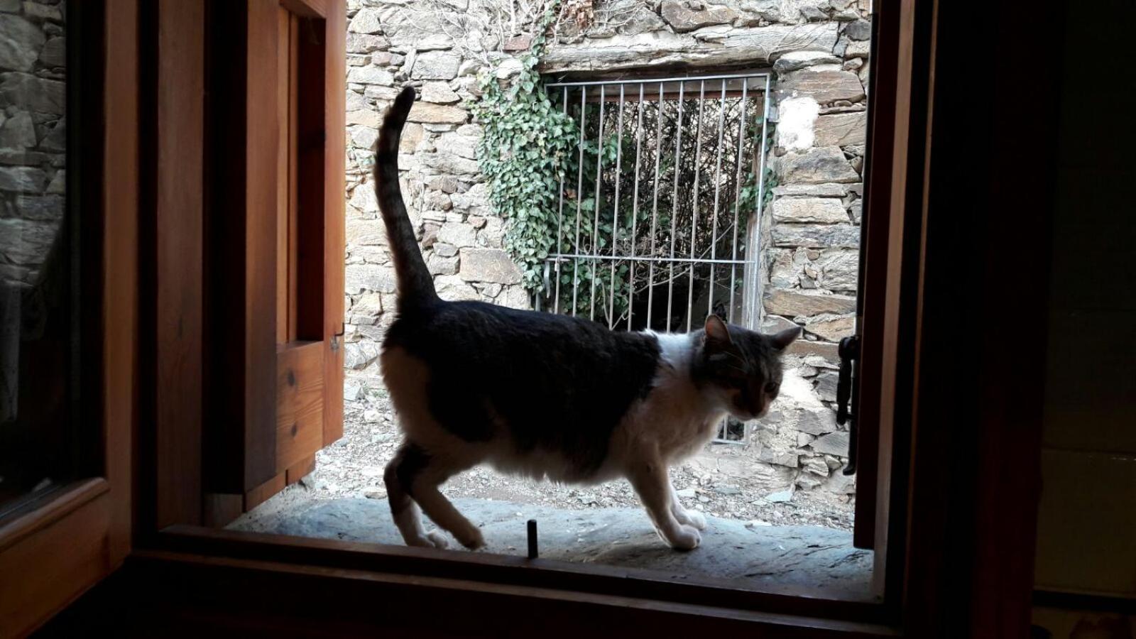 Ca L'Andreu Villa Ventola Buitenkant foto